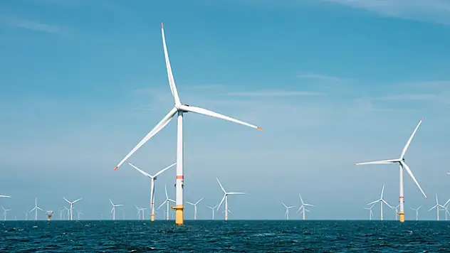 Deniz üstü rüzgar enerjisi saha geliştirme çalışmaları kapsamında çevresel analiz yapılacak