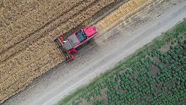 Devlet destekli tarım sigortalarında toplam sigorta bedeli 2022'de yıllık yüzde 138,1 arttı