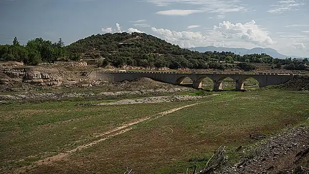 Küresel ısınma gıda enflasyonunu her yıl yüzde 3 artırabilir