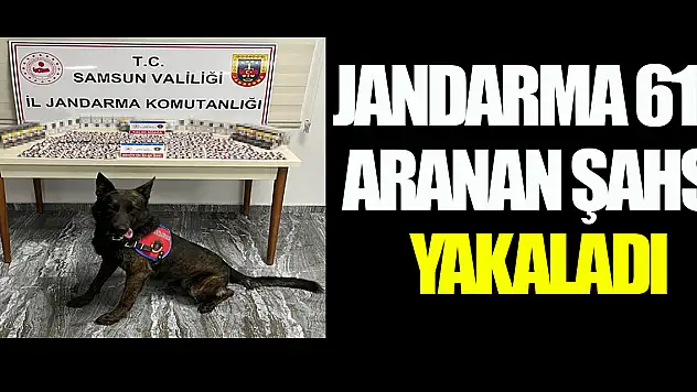 Jandarma 615 aranan şahsı yakaladı