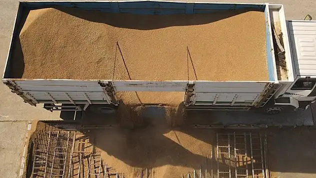 TMO'nun hububat alımları sürüyor