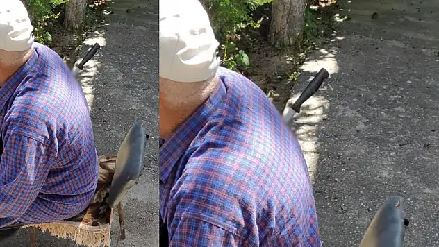 Afyonkarahisar'da dehşete düşüren fotoğraf