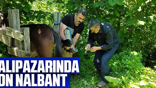 Samsun'un Salıpazarı ilçesinin son nalbantı işleri azalsa da mesleğini sürdürüyor