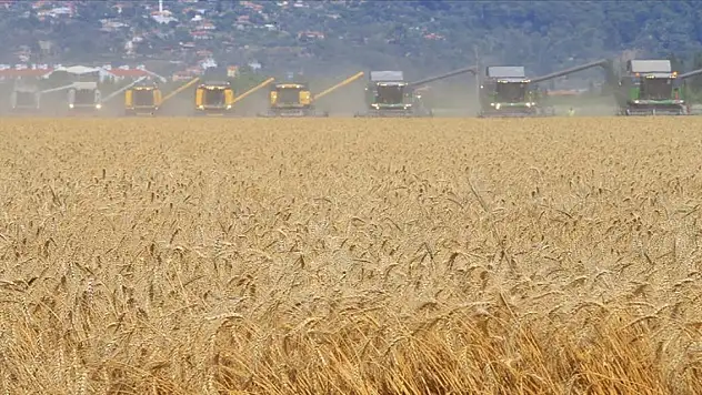 Türkiye'de 5 yılda devlet destekli tarım sigortalarında en fazla ödeme 'dolu' hasarlarına yapıldı