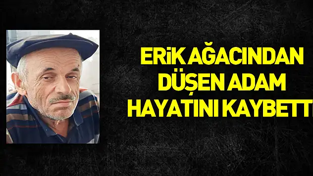 Erik ağacından düşen yaşlı adam hayatını kaybetti