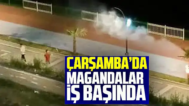 Çarşamba'da Magandalar iş Başında