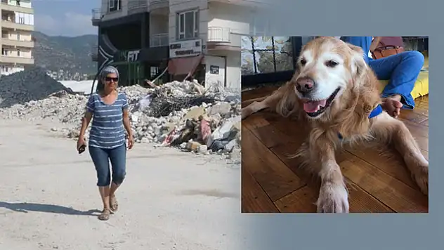 Enkaza dönen kentte kaybolan köpeğini arıyor, bulana ödül var
