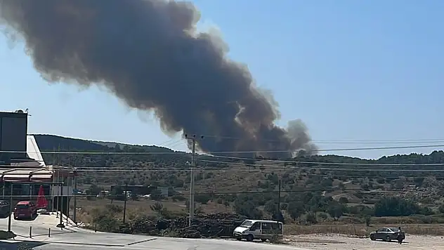 Milas'ta orman yangını başladı