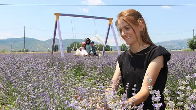 'Süpürge mi dikiyorsun?' diyenlere inat lavanta yetiştirdi