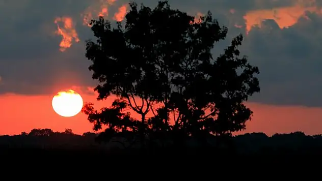 Kızılırmak Deltası Kuş Cenneti'nde gün doğumu