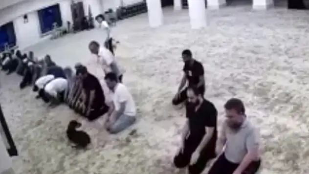 Sabah namazı vaktinde camiye giren köpek ile cemaatin imtihanı kamerada