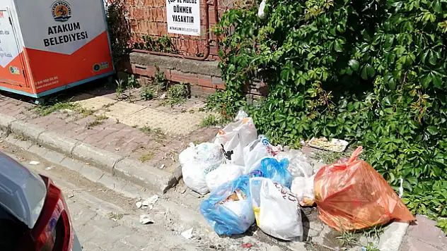 Atakum Belediyesi'nden 'çöp konteyneri' tepkisi: 'Halk sağlığı riski oluşturuyor'
