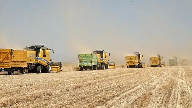 Muş Ovası'nda hububat hasadı başladı