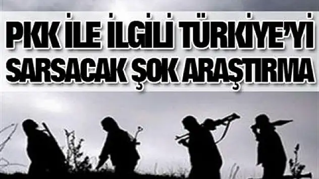 'PKK'ya alternatif bir terör örgütü kuruldu'