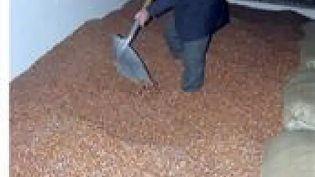 Fındıkda denge bozuldu