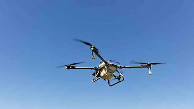 Adilcevaz'da dronla ilaçlamada dönemi