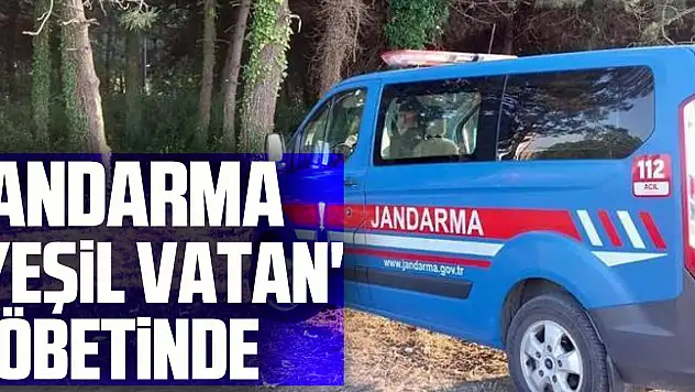 Jandarma 'yeşil vatan' nöbetinde