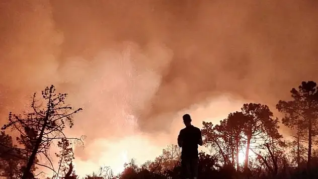 Türkiye, Cezayir'e yangınlar nedeniyle ölenler için başsağlığı diledi