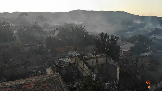 Manisa'daki orman yangınında 14 ev ve 3 ahır kül oldu