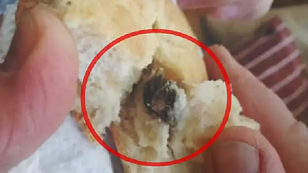 Aldığı ekmekten fare pisliği çıktı, fırın hakkında jet işlem yapıldı