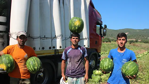 Bilecik'ten Ukrayna, Almanya ve Polonya'ya karpuz ihracatı