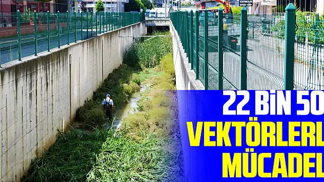 22 bin noktada vektörlerle mücadele