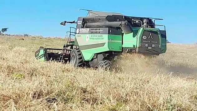 Tavşanlı Kuruçay beldesinde harman zamanı