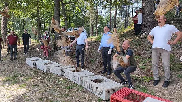 Ordu'da bin adet 'kene avcısı' sülün doğaya salındı