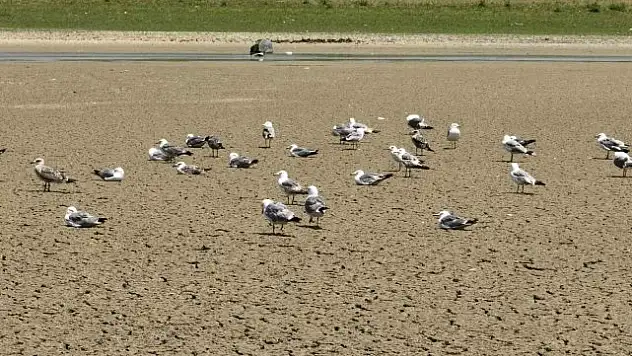 Sıcak havanın etkisini sürdürdüğü İstanbul'daki barajlarda son durum