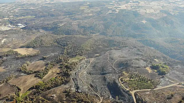 Çanakkale'deki orman yangınlarında 3 bin 500 futbol sahası büyüklüğünde alan yandı