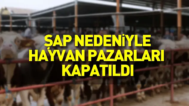 Samsun'da şap nedeniyle hayvan pazarları kapatıldı