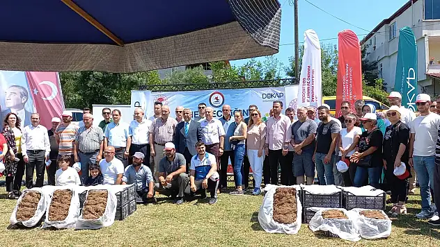 Samsun'da çilek üreticisine 750 bin fide desteği