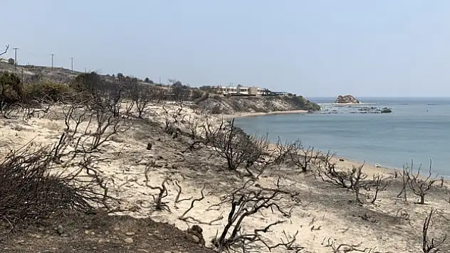 Küresel ısınma kaynaklı aşırı sıcaklar, turizm sektörü dinamiklerini kalıcı olarak değiştirebilir