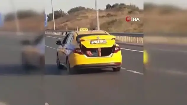 TEM'de ticari taksinin bagajında ilginç yolculuk kamerada