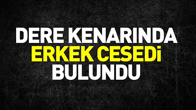 Samsun'da dere kenarında silahla vurulmuş erkek cesedi bulundu