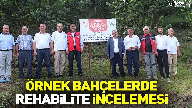 Örnek Bahçelerde Rehabilite İncelemesi
