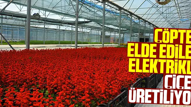 Çöpten elde edilen elektrikle çiçek üretiliyor