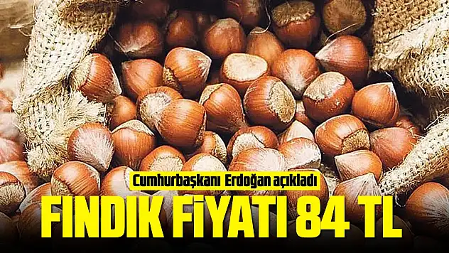 Fındık fiyatı 84 TL