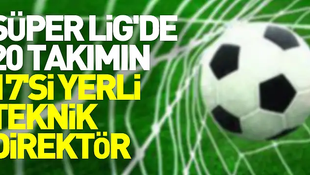 Süper Lig'de 20 takımın 17'si yerli teknik adamla lige başlayacak