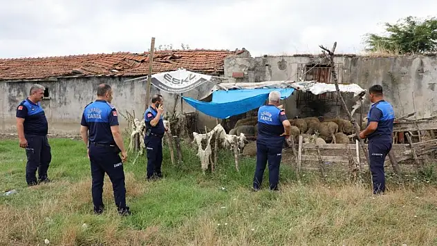 Samsun'da uyarı yapılan 12 ahırın faaliyetine son