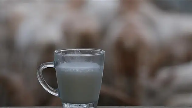 Toplanan inek sütü miktarı haziranda yıllık bazda yüzde 1,9 artarak 867 bin 11 ton oldu