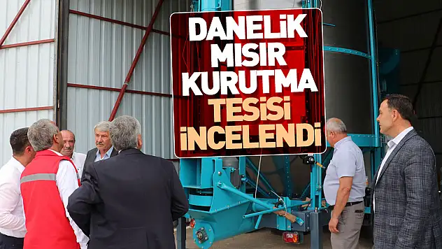 Havza'da kurulan danelik mısır kurutma tesisi incelendi