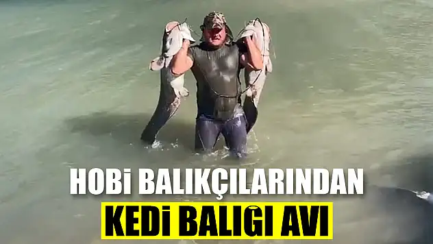 Hobi balıkçılarından olta ile 2 metrelik kedi balığı avı