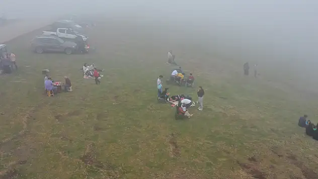 Menderesleriyle ünlü Perşembe Yaylası sıcaktan bunalanlara alternatif tatil rotası oldu