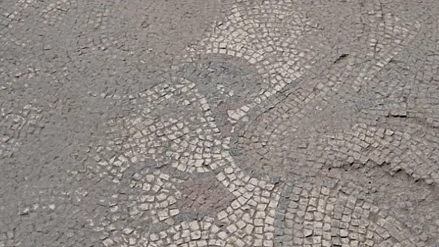 Tarlada heyecanlandıran keşif: Kazı çalışmaları başladı