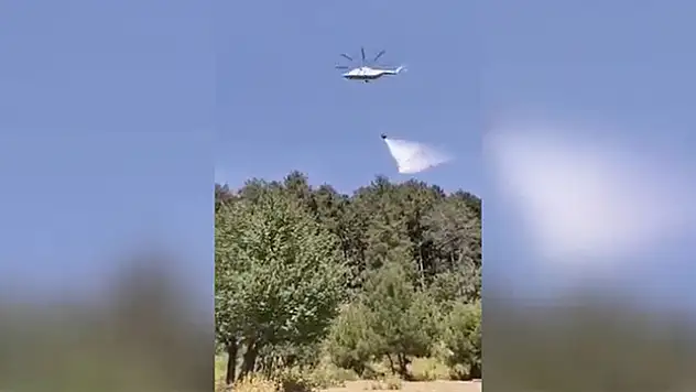 Hatay'da orman yangını çıktı