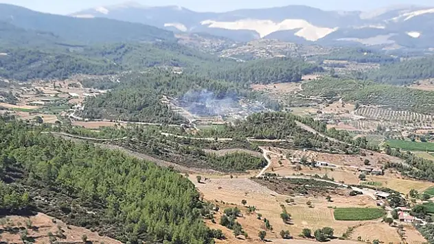 Muğla'daki orman yangını kontrol altına alındı