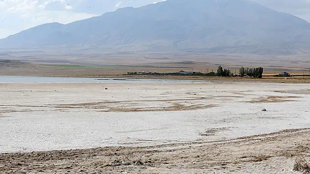 Suların çekildiği Arin Gölü'nün kıyıları otlağa dönüştü