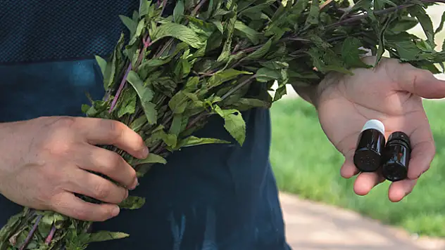 Bu yağın litresi 35 bin TL