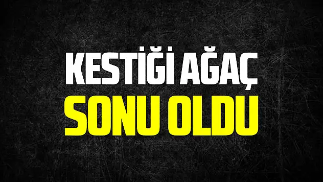 Kesilen ağacın altında kalan kadın hayatını kaybetti